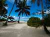 Pongwe Beach Hotel - Beach 